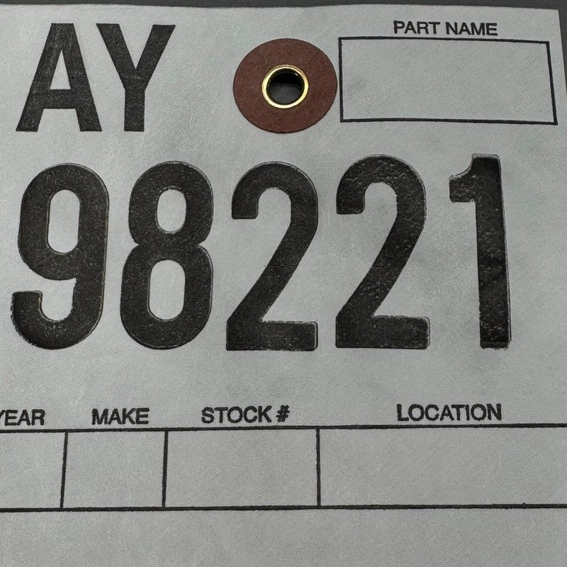 TESLA MODEL 3 B-PILLAR APPLIQUE GLASS TRIM LEFT 2024 2025 2026 OEM 171