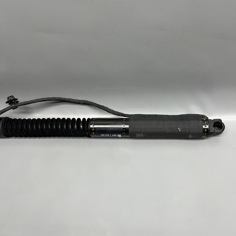 1063440-01-C TESLA MODEL X DOOR STRUT SHOCK 2016 2017 2018 2019 2020 OEM 1063440-01-C