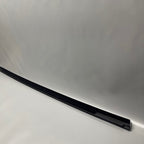 TESLA MODEL 3 DOOR WINDOW MOLDING RIGHT REAR 2017 2018 2019 2020 OEM