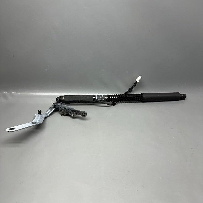 1063440-00-D TESLA MODEL X DOOR SHOCK STRUT REAR 2016 2017 2018 2019 2020 OEM 1063440-00-D